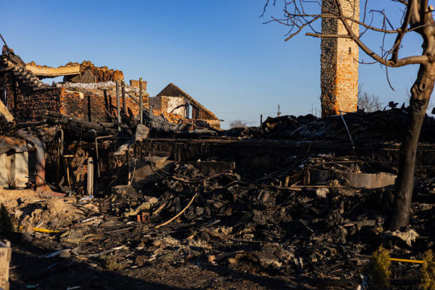 Reliable Content Restoration contractor in Windermere, FL by Fire Damage Flint